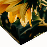 Farmhouse Wall Art: Sunflowers in Bloom - Rustic Country Style Decor Print