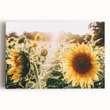 Farmhouse Wall Art: Sunflowers in Bloom - Rustic Country Style Decor Print
