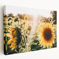 Farmhouse Wall Art: Sunflowers in Bloom - Rustic Country Style Decor Print