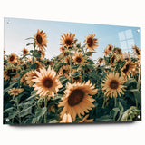 Farmhouse Wall Art: Sunflower Field - Rustic Country Style Decor Print
