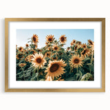 Farmhouse Wall Art: Sunflower Field - Rustic Country Style Decor Print