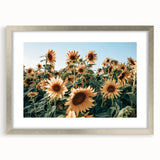Farmhouse Wall Art: Sunflower Field - Rustic Country Style Decor Print
