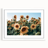 Farmhouse Wall Art: Sunflower Field - Rustic Country Style Decor Print