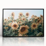 Farmhouse Wall Art: Sunflower Field - Rustic Country Style Decor Print
