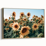 Farmhouse Wall Art: Sunflower Field - Rustic Country Style Decor Print