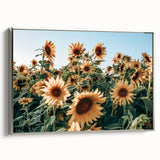 Farmhouse Wall Art: Sunflower Field - Rustic Country Style Decor Print