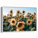 Farmhouse Wall Art: Sunflower Field - Rustic Country Style Decor Print