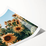 Farmhouse Wall Art: Sunflower Field - Rustic Country Style Decor Print