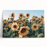 Farmhouse Wall Art: Sunflower Field - Rustic Country Style Decor Print