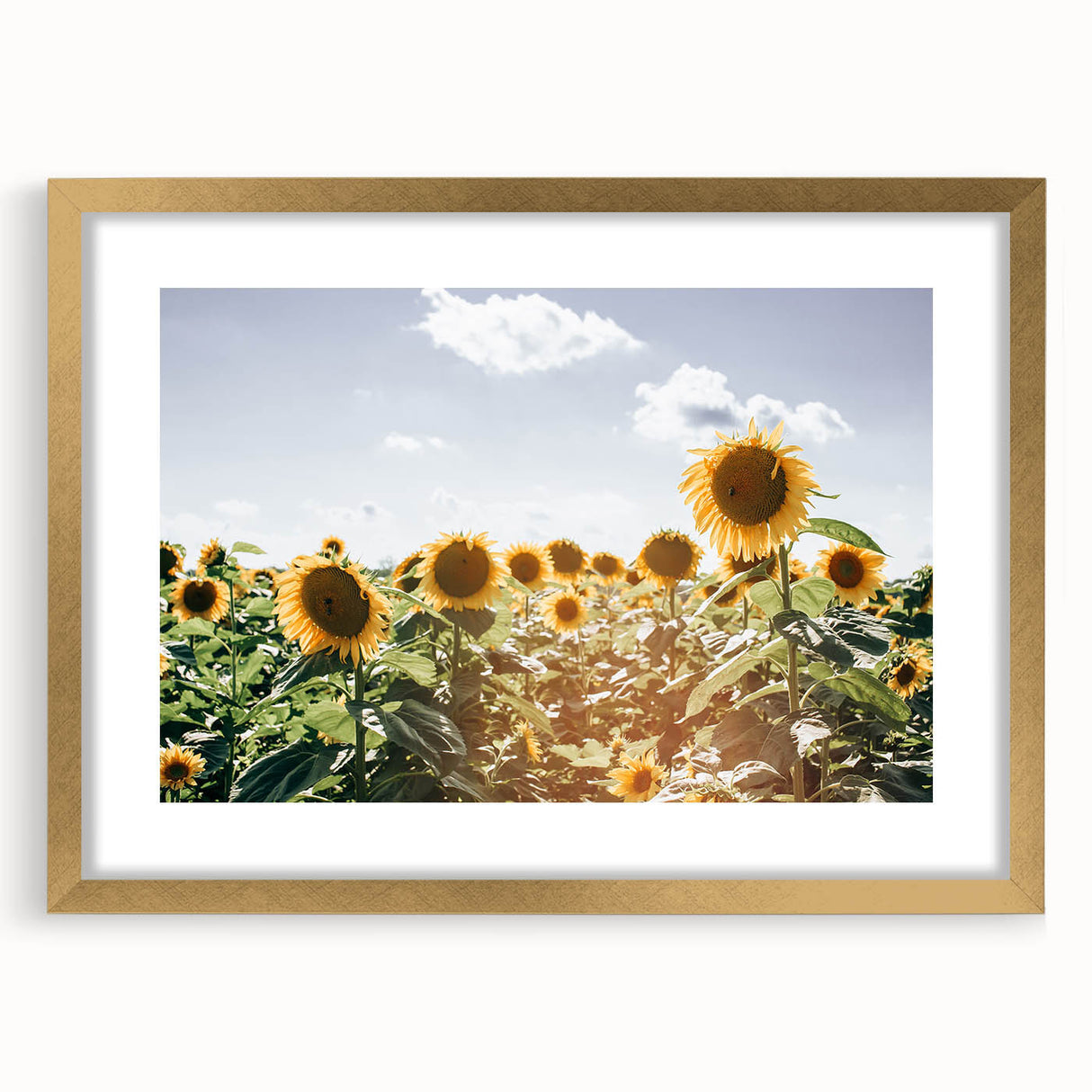 Farmhouse Wall Art: Sunflowers in Summer - Rustic Country Style Decor