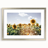 Farmhouse Wall Art: Sunflowers in Summer - Rustic Country Style Decor