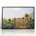 Farmhouse Wall Art: Sunflowers in Summer - Rustic Country Style Decor