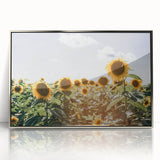 Farmhouse Wall Art: Sunflowers in Summer - Rustic Country Style Decor