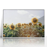 Farmhouse Wall Art: Sunflowers in Summer - Rustic Country Style Decor