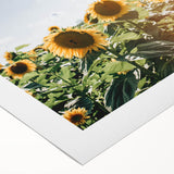 Farmhouse Wall Art: Sunflowers in Summer - Rustic Country Style Decor