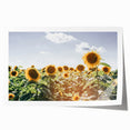 Farmhouse Wall Art: Sunflowers in Summer - Rustic Country Style Decor