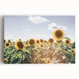 Farmhouse Wall Art: Sunflowers in Summer - Rustic Country Style Decor
