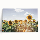 Farmhouse Wall Art: Sunflowers in Summer - Rustic Country Style Decor