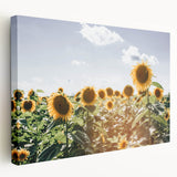 Farmhouse Wall Art: Sunflowers in Summer - Rustic Country Style Decor