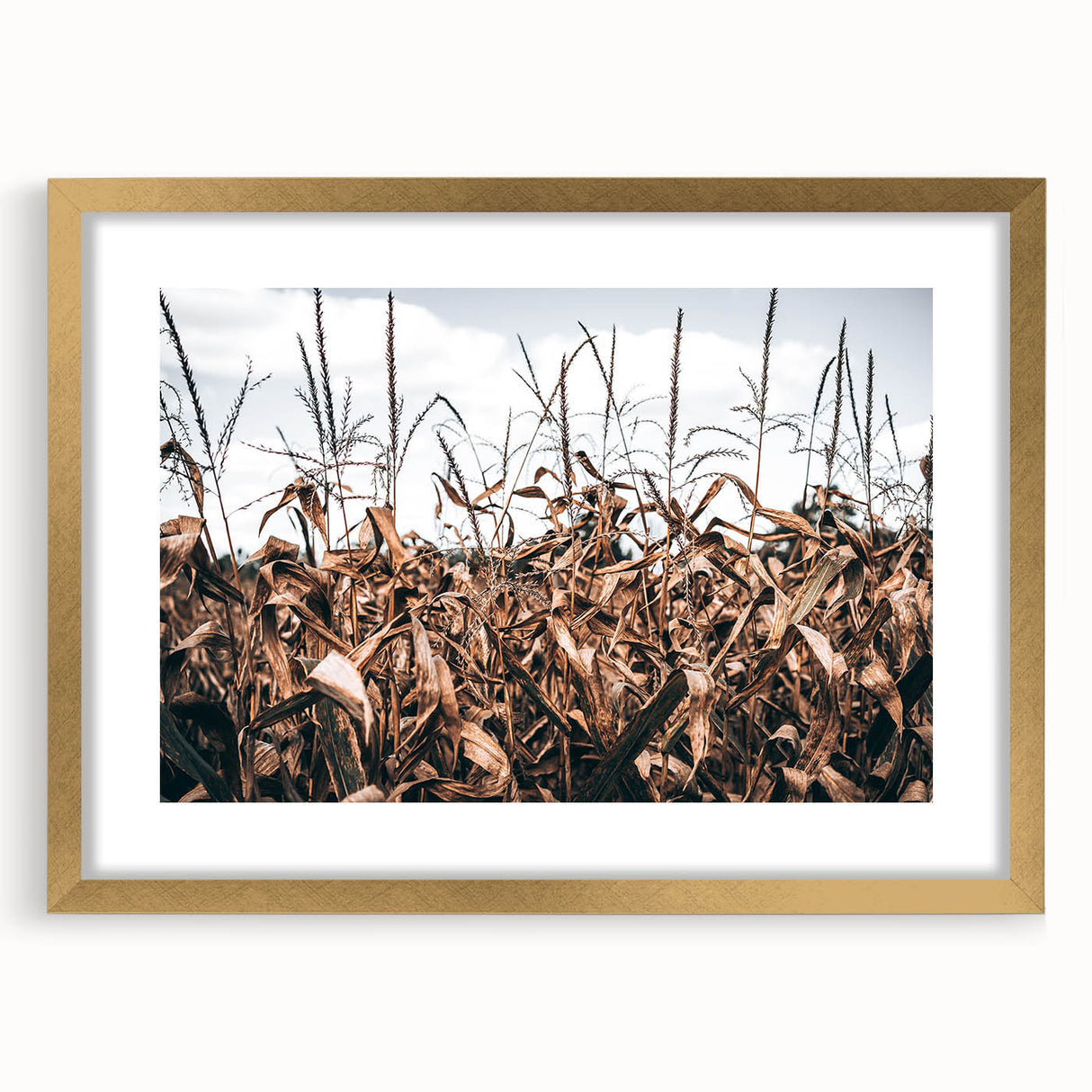 Farmhouse Wall Art: Autumn Corn Stalks - Rustic Country Style Decor Print