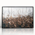 Farmhouse Wall Art: Autumn Corn Stalks - Rustic Country Style Decor Print