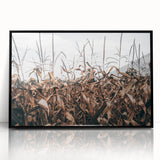 Farmhouse Wall Art: Autumn Corn Stalks - Rustic Country Style Decor Print
