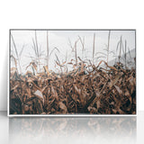 Farmhouse Wall Art: Autumn Corn Stalks - Rustic Country Style Decor Print