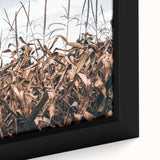 Farmhouse Wall Art: Autumn Corn Stalks - Rustic Country Style Decor Print