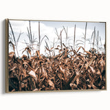 Farmhouse Wall Art: Autumn Corn Stalks - Rustic Country Style Decor Print