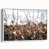 Farmhouse Wall Art: Autumn Corn Stalks - Rustic Country Style Decor Print