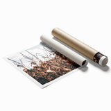 Farmhouse Wall Art: Autumn Corn Stalks - Rustic Country Style Decor Print