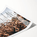 Farmhouse Wall Art: Autumn Corn Stalks - Rustic Country Style Decor Print