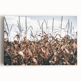 Farmhouse Wall Art: Autumn Corn Stalks - Rustic Country Style Decor Print
