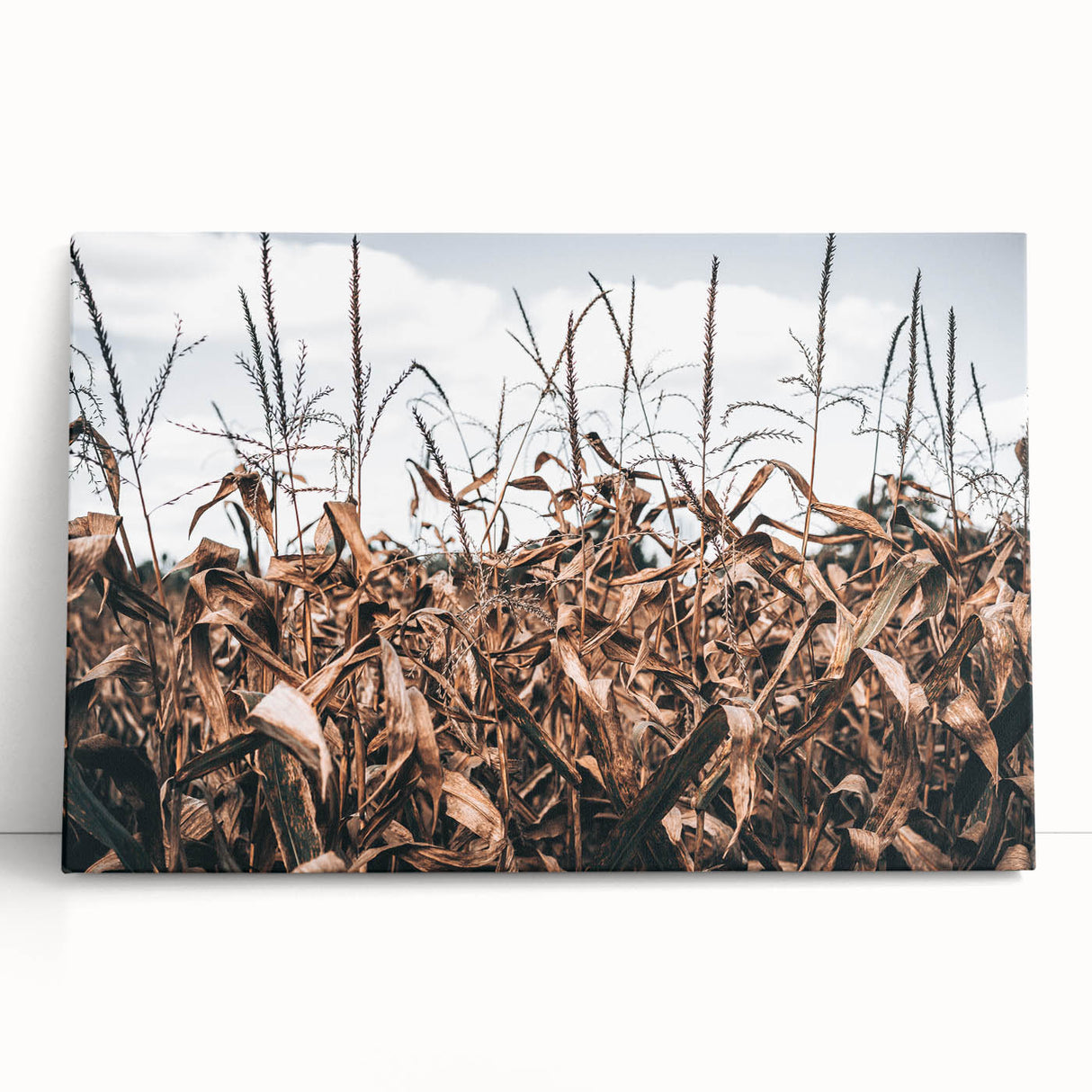Farmhouse Wall Art: Autumn Corn Stalks - Rustic Country Style Decor Print