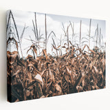 Farmhouse Wall Art: Autumn Corn Stalks - Rustic Country Style Decor Print