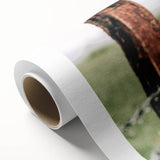 Farmhouse Wall Art: Rustic Fence in Rain - Country Style Decor Print