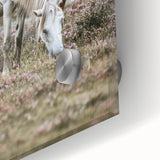 Rustic Country Horses - Farmhouse Style Wall Art for Country Living Decor