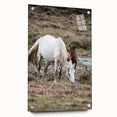 Rustic Country Horses - Farmhouse Style Wall Art for Country Living Decor