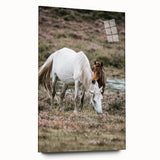 Rustic Country Horses - Farmhouse Style Wall Art for Country Living Decor