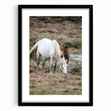 Rustic Country Horses - Farmhouse Style Wall Art for Country Living Decor