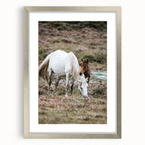 Rustic Country Horses - Farmhouse Style Wall Art for Country Living Decor
