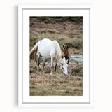 Rustic Country Horses - Farmhouse Style Wall Art for Country Living Decor