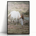 Rustic Country Horses - Farmhouse Style Wall Art for Country Living Decor