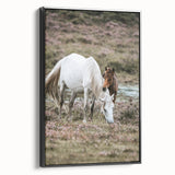 Rustic Country Horses - Farmhouse Style Wall Art for Country Living Decor