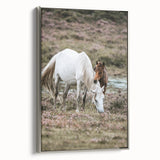 Rustic Country Horses - Farmhouse Style Wall Art for Country Living Decor