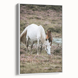Rustic Country Horses - Farmhouse Style Wall Art for Country Living Decor