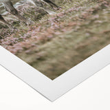 Rustic Country Horses - Farmhouse Style Wall Art for Country Living Decor