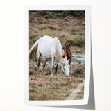 Rustic Country Horses - Farmhouse Style Wall Art for Country Living Decor