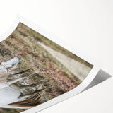 Rustic Country Horses - Farmhouse Style Wall Art for Country Living Decor