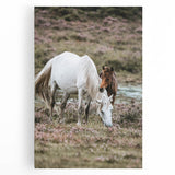 Rustic Country Horses - Farmhouse Style Wall Art for Country Living Decor